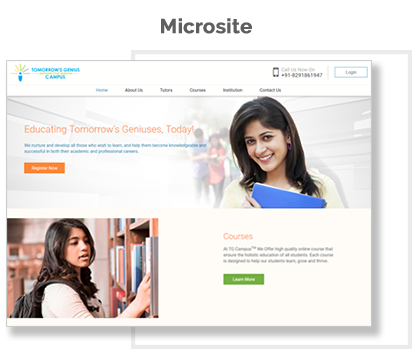 Customizable microsite features