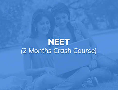 Our Courses