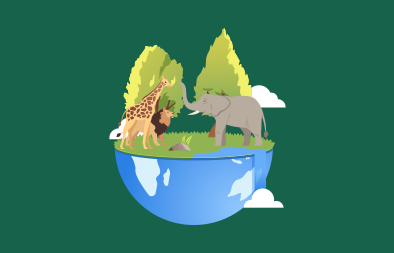 CBSE 11th: The Living World (Entire chapter)